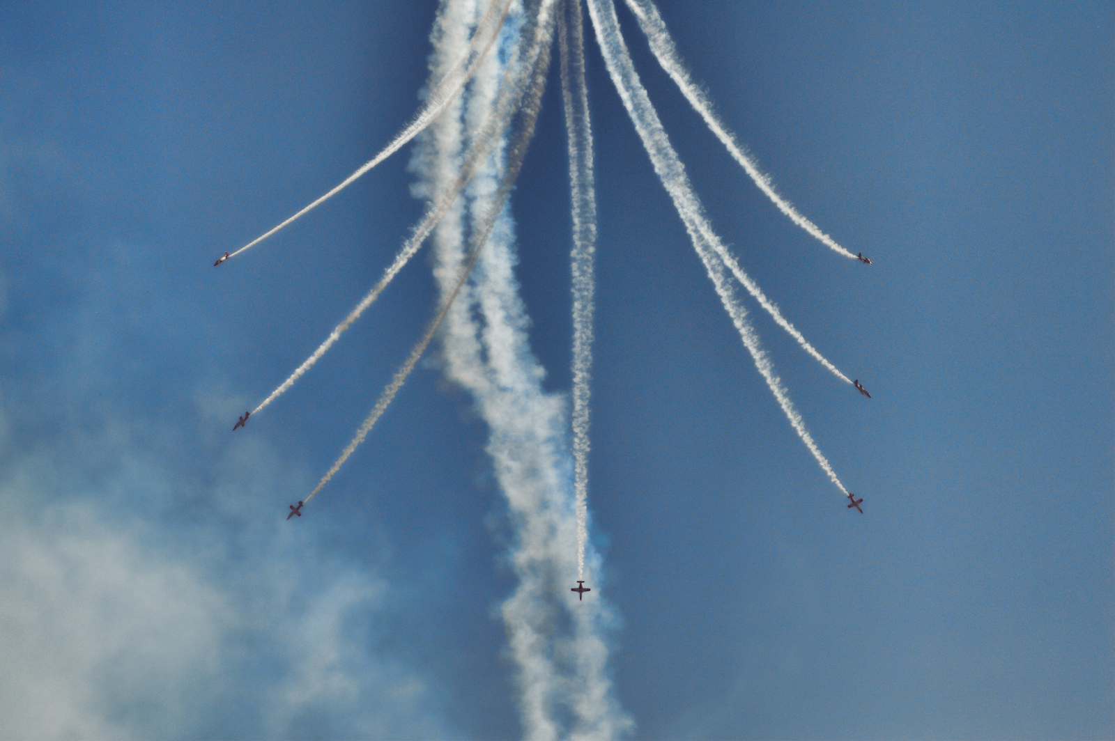 [Imagen: tiger_meet_2016___patrulla_aguila_12_by_...a3yhy0.png]