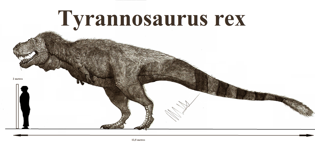 tyrannosaurus_rex_by_teratophoneus-d9bnkd0.png
