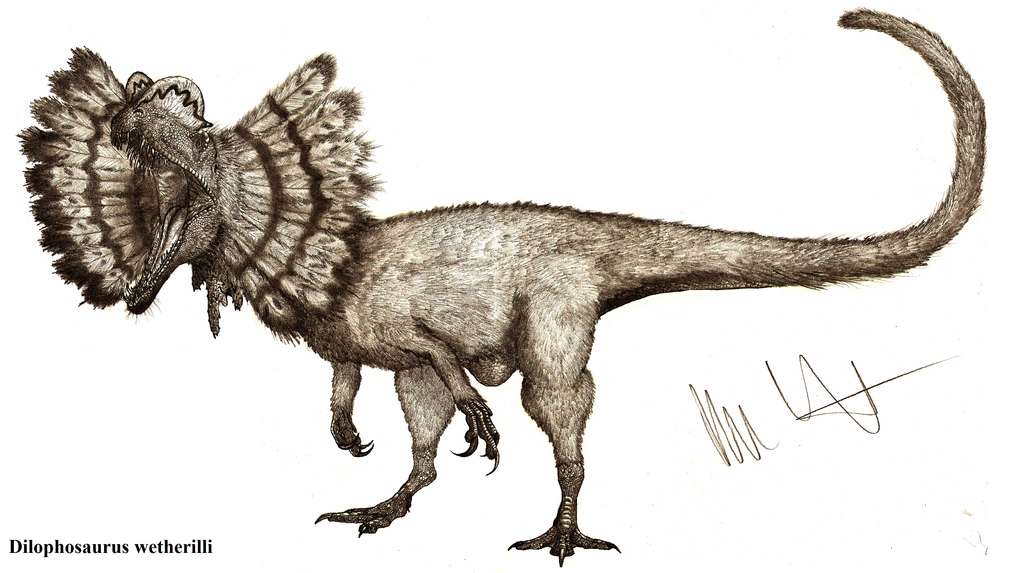 dilophosaurus_wetherilli_by_teratophoneus-dazi5qo.png