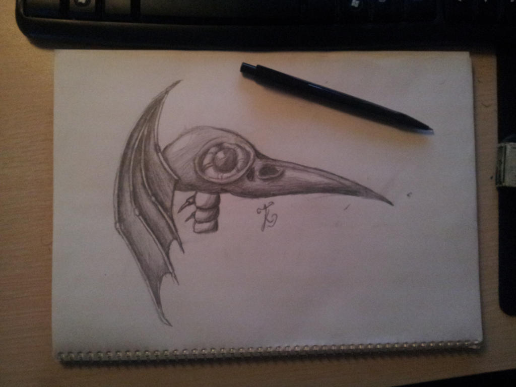 bird_skull_by_terrona-d9886lg.jpg