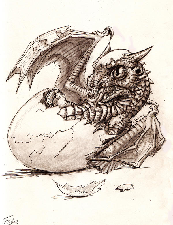 baby dragon hatching coloring pages - photo #33