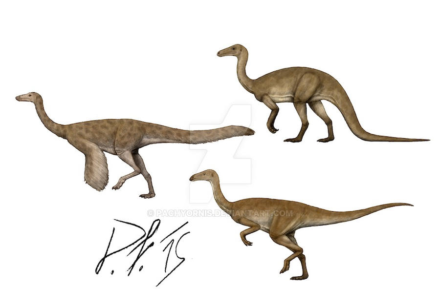 ornithomimosaurs_over_the_centuries_by_pachyornis-d98p5ae.jpg
