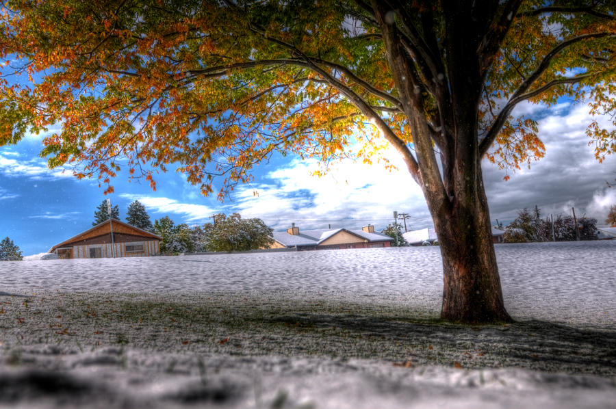 Spring-Summer-Autumn-Winter by KaiiaZ on DeviantArt