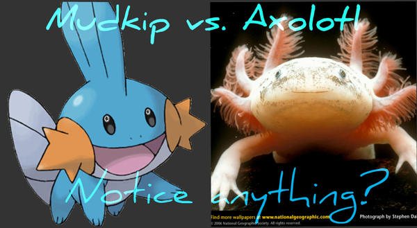 mudkip_vs_axolotl_by_evillittleelf209.jp