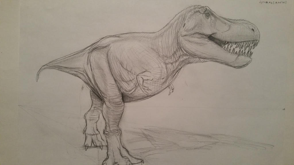 another_tyrannosaurus_sketch_by_spinosau