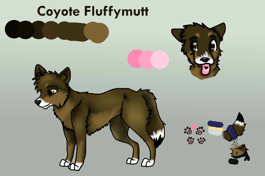 Coyote Ref sheet 2011 by FluffyMutt on DeviantArt