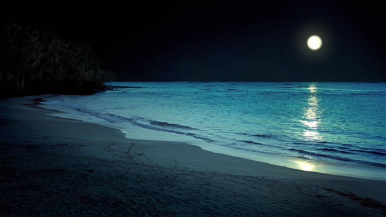 Fate/ICIDOTCOH - Página 8 Beach_at_night_by_myraalex-d6iot9k