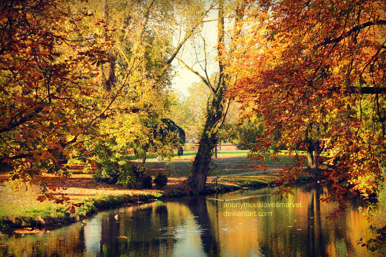 autumn pond by ANONYMOUSlovesMARVEL on DeviantArt